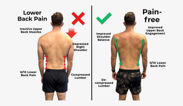 Low back & Lumbar support